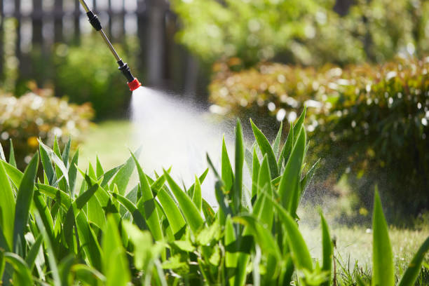 24/7 Emergency Mosquito Control experts in Tucson, AZ