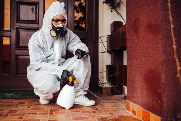 Reliable Mosquito Control contractor in Tucson, AZ by Show Me Pest Control